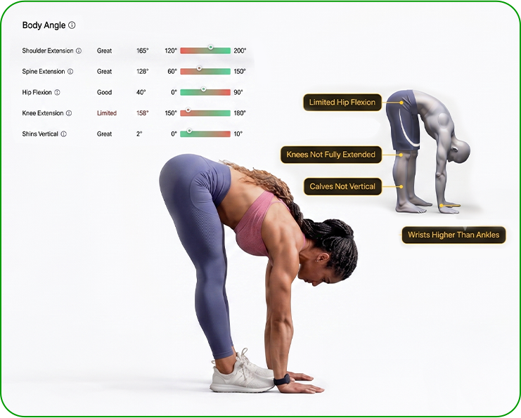 Full-Body AI Assessment